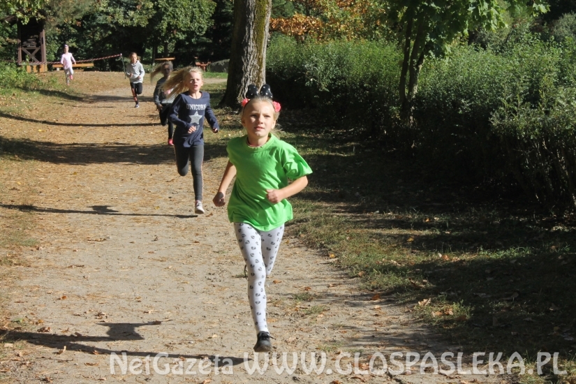 Mistrzostwach Powiatu Elbląskiego