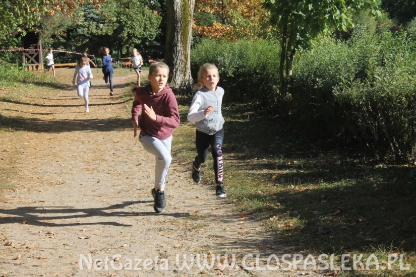 Mistrzostwach Powiatu Elbląskiego
