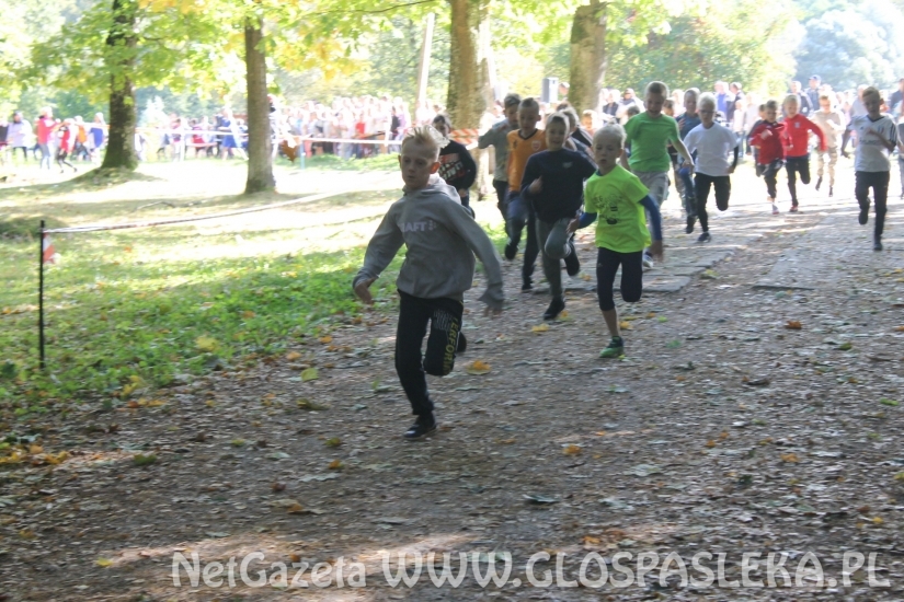 Mistrzostwach Powiatu Elbląskiego
