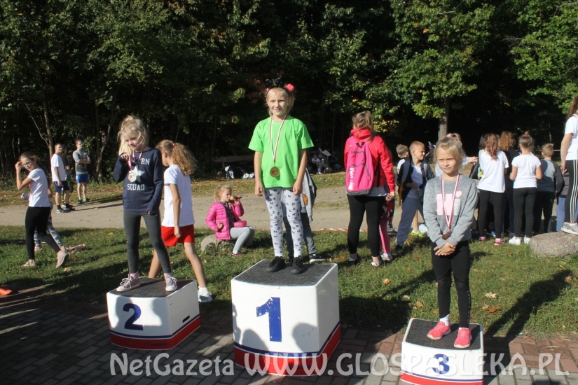 Mistrzostwach Powiatu Elbląskiego