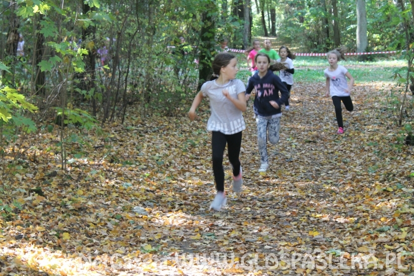 Mistrzostwach Powiatu Elbląskiego