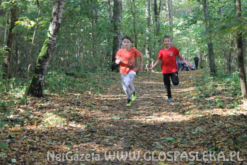 Mistrzostwach Powiatu Elbląskiego