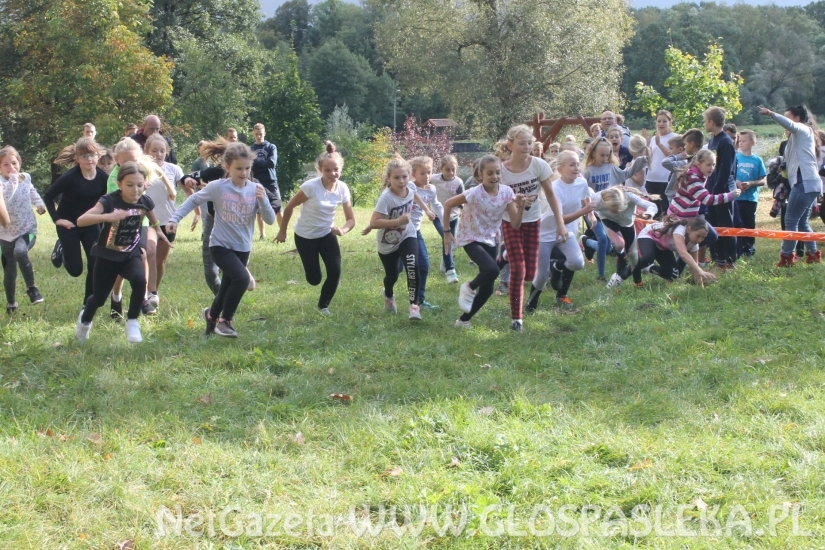 Mistrzostwach Powiatu Elbląskiego