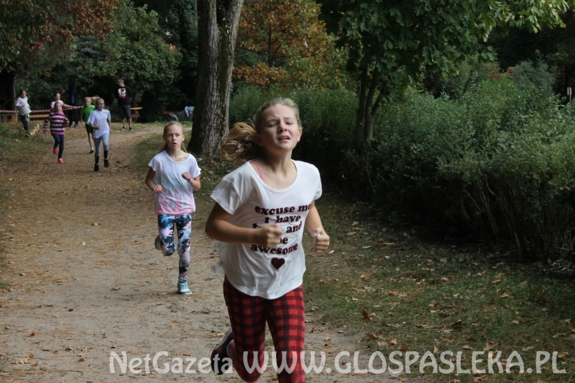 Mistrzostwach Powiatu Elbląskiego