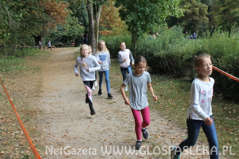 Mistrzostwach Powiatu Elbląskiego