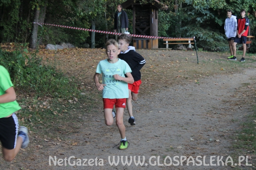 Mistrzostwach Powiatu Elbląskiego