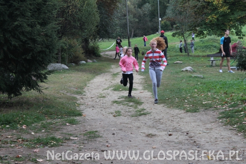 Mistrzostwach Powiatu Elbląskiego