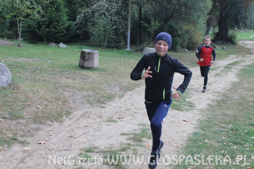 Mistrzostwach Powiatu Elbląskiego