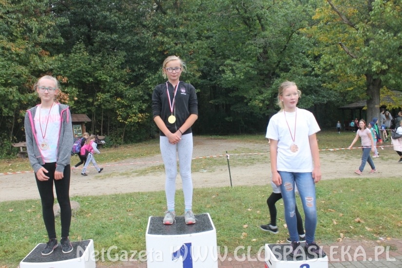 Mistrzostwach Powiatu Elbląskiego