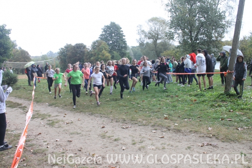 Mistrzostwach Powiatu Elbląskiego