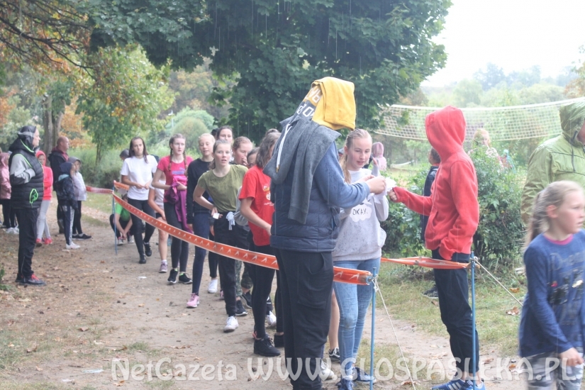 Mistrzostwach Powiatu Elbląskiego