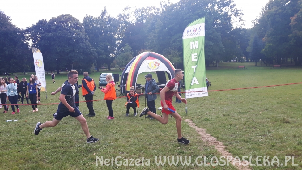 Złoty medal dla ZSEiT