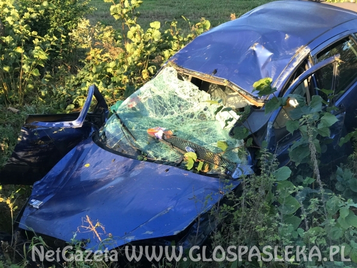 Wpadł do rowu i dachował