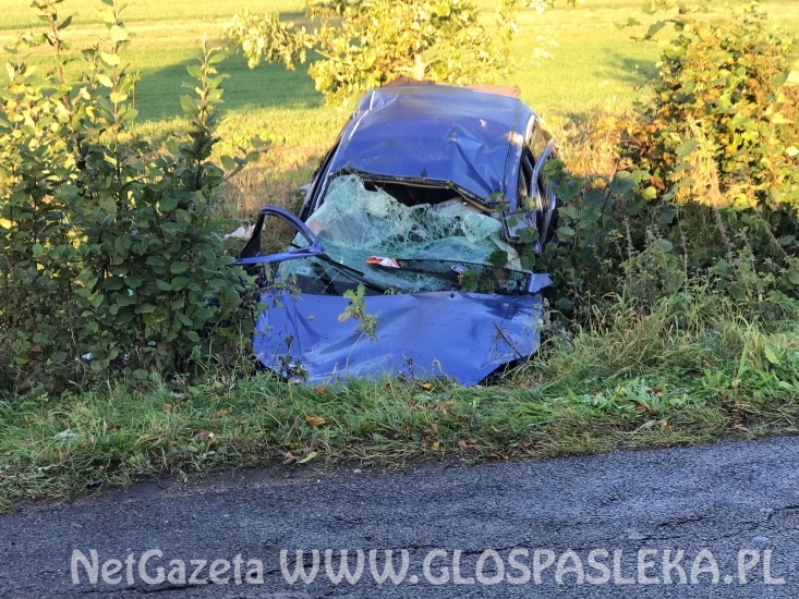 Wpadł do rowu i dachował