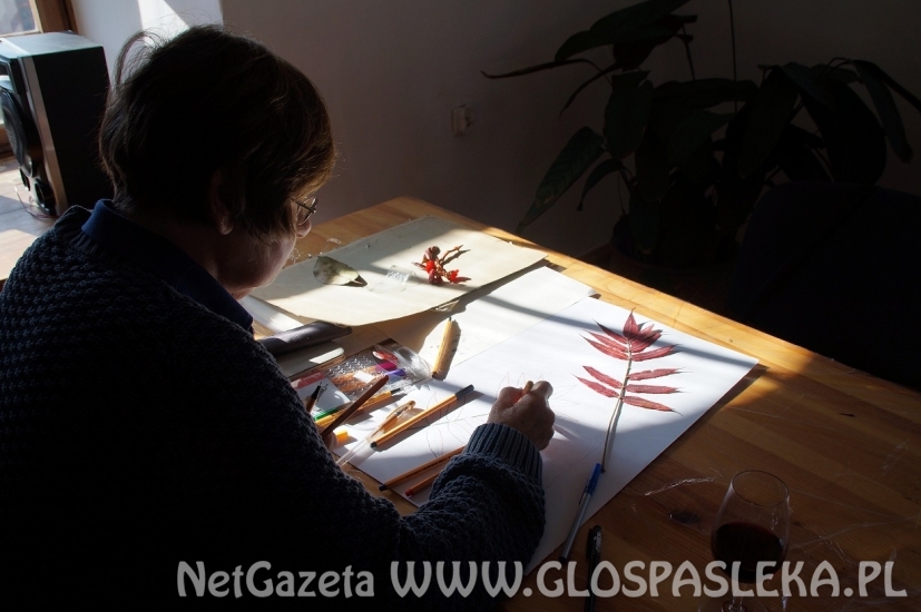 Pasłęckie barwy jesieni