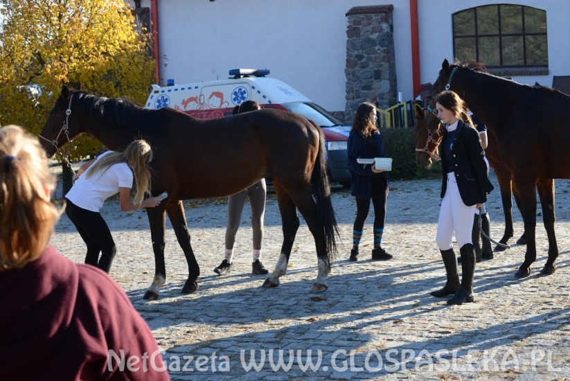 W Dąbrówce treningowo