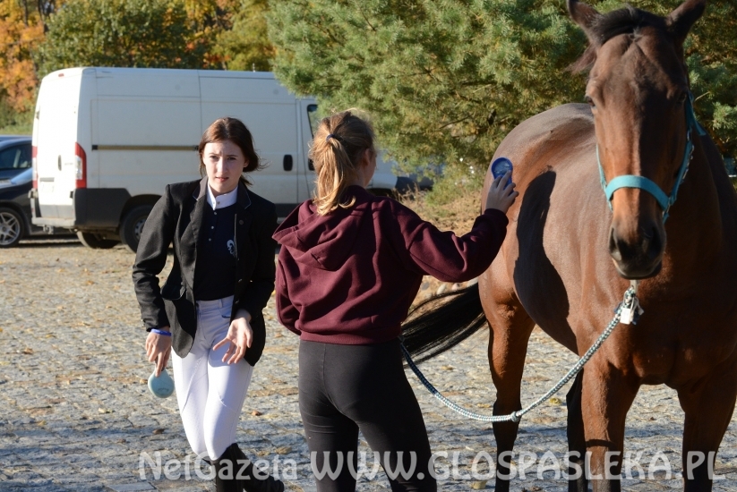 W Dąbrówce treningowo