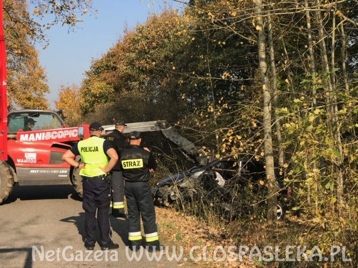 Wypadek Borzynowo - Marianka 18.10.2018r.