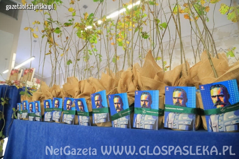 Dąb pamięci w ZSEiT