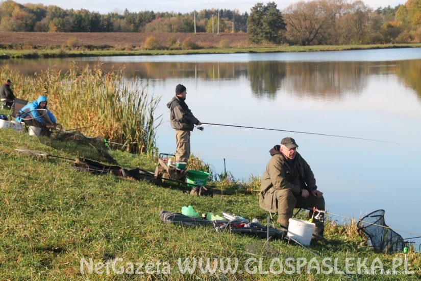 Ostatnie GP Zakrzewka II - wyniki