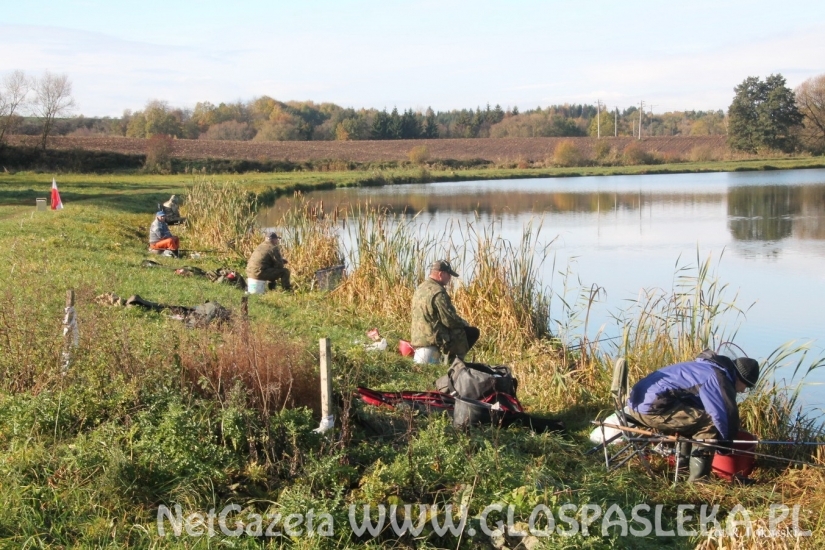 Ostatnie GP Zakrzewka II - wyniki