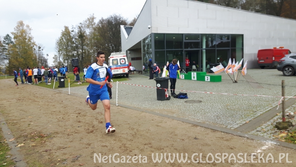 ZSEiT Mistrzem Województwa!