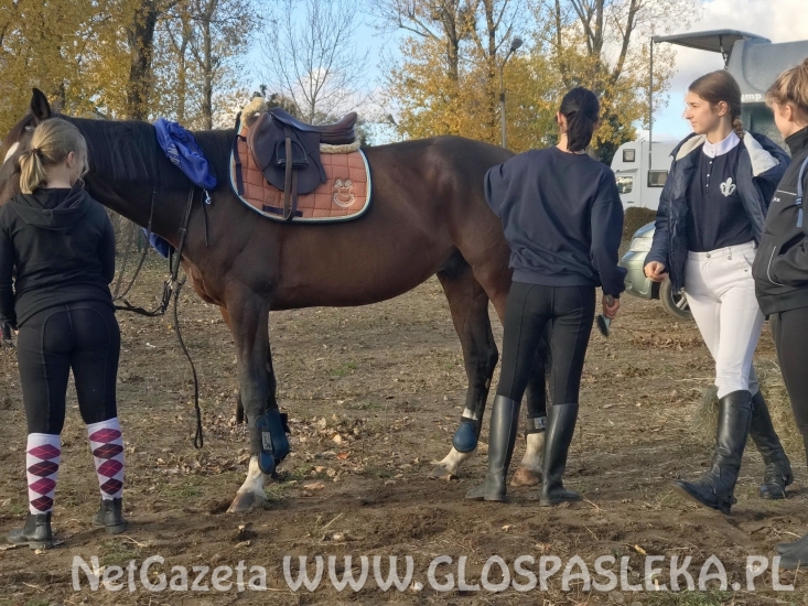 W Sopocie ze zmiennym szczęściem