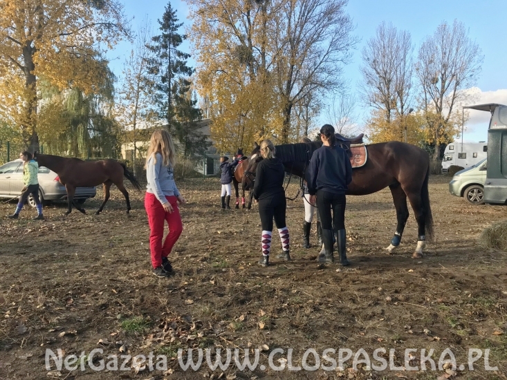 W Sopocie ze zmiennym szczęściem