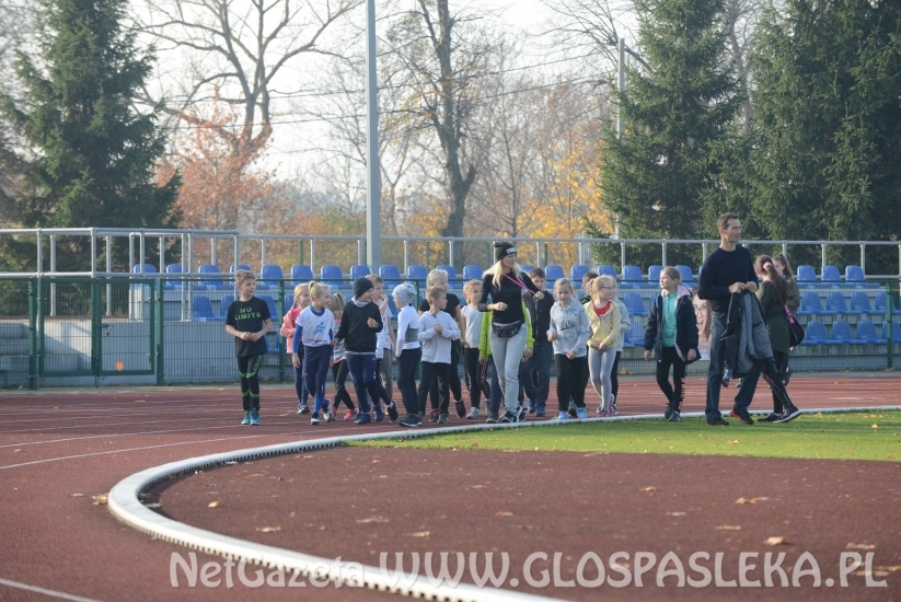 Ponad 200 uczestników Biegów Niepodległościowych