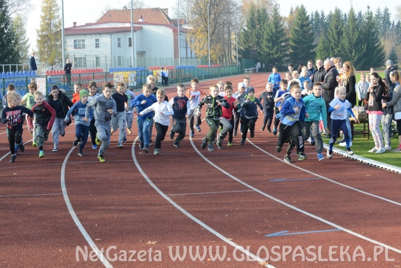 Ponad 200 uczestników Biegów Niepodległościowych