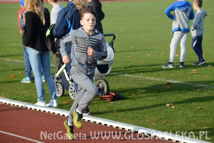 Ponad 200 uczestników Biegów Niepodległościowych
