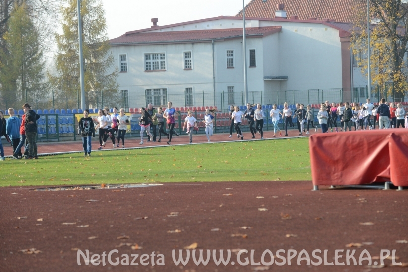 Ponad 200 uczestników Biegów Niepodległościowych