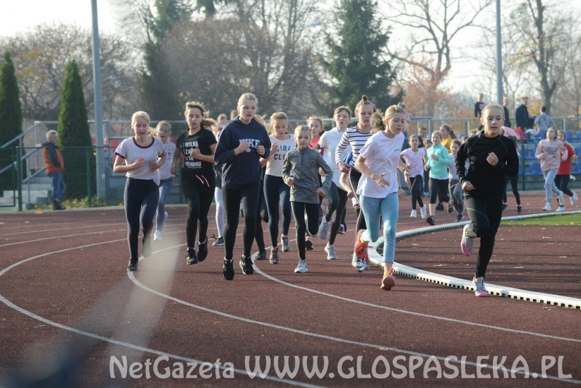 Ponad 200 uczestników Biegów Niepodległościowych