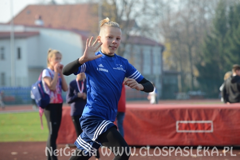 Ponad 200 uczestników Biegów Niepodległościowych