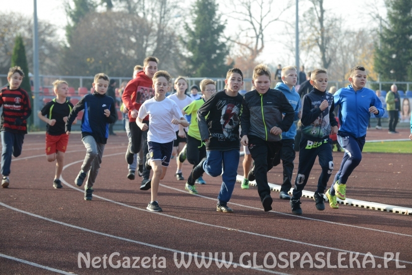 Ponad 200 uczestników Biegów Niepodległościowych