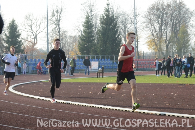 Ponad 200 uczestników Biegów Niepodległościowych