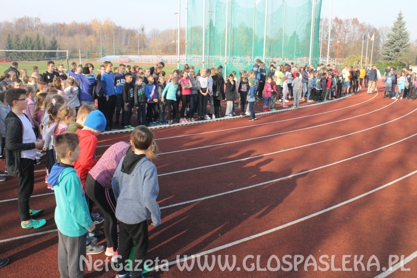 Ponad 200 uczestników Biegów Niepodległościowych
