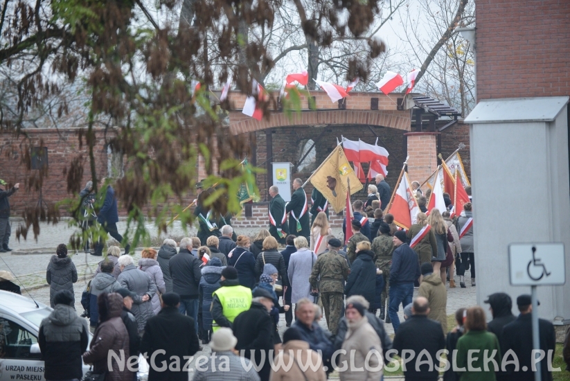 Pod biało - czerwonym sztandarem