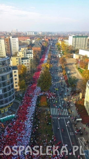 Pasłęczanie w Biegach Niepodległości