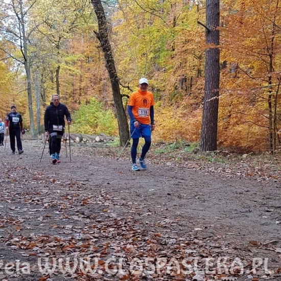 Nordic walking jesień 2018
