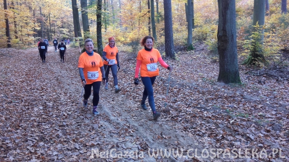 Nordic walking jesień 2018