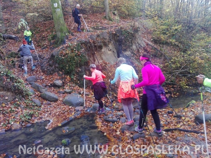 Nordic walking jesień 2018