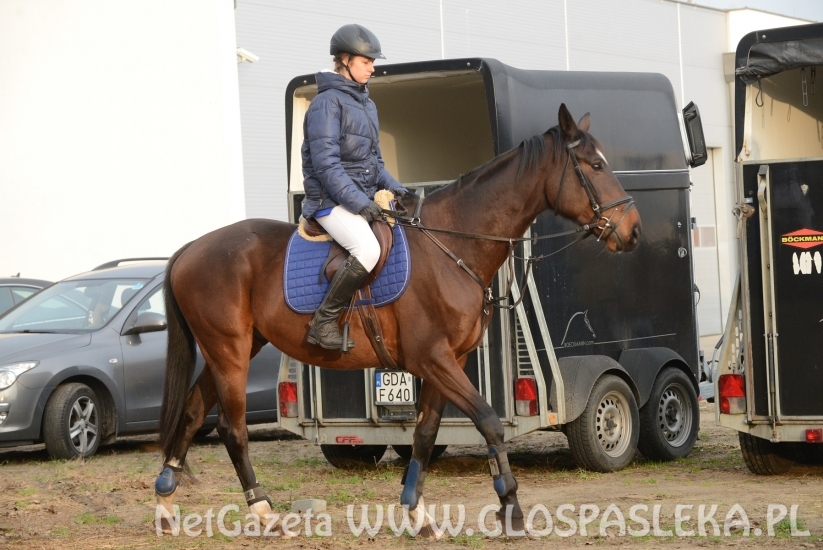 Hania wygrywa w Sopocie