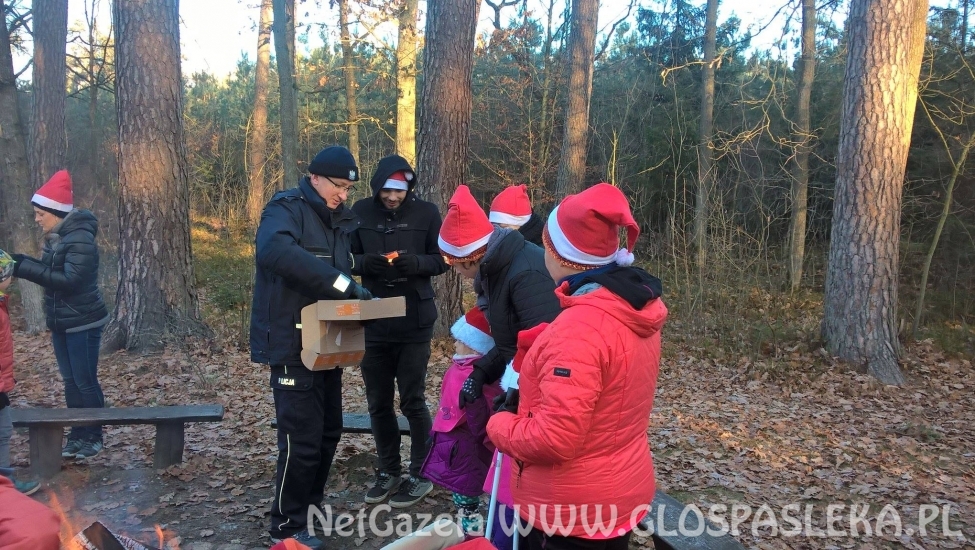 rajd nordic walking Młynary