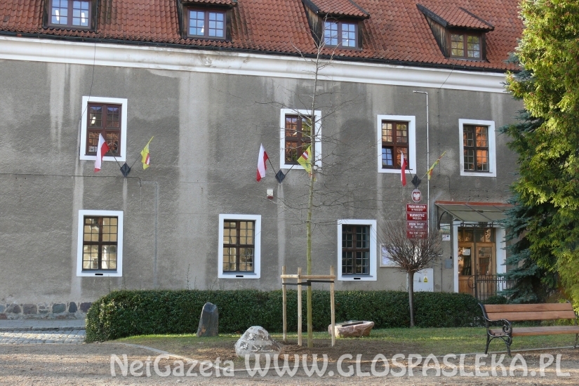 Dąb Niepodległości