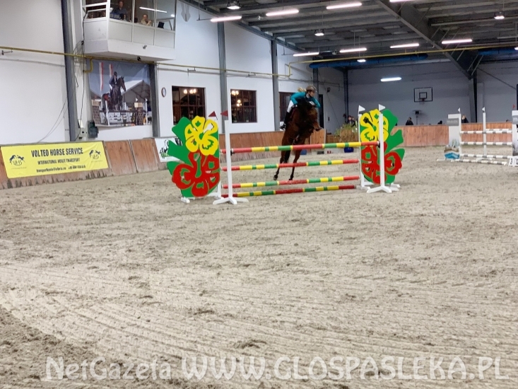 Kaja i Luisiana wygrywają z plejadą znanych jeźdźców