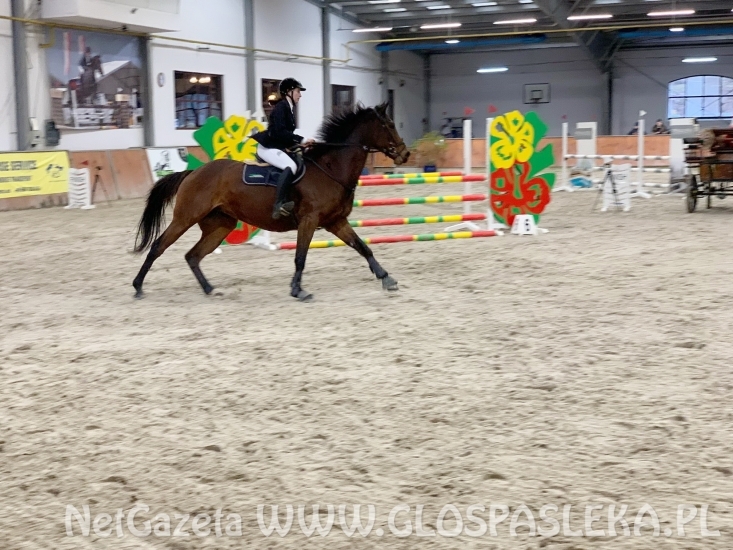 Kaja i Luisiana wygrywają z plejadą znanych jeźdźców