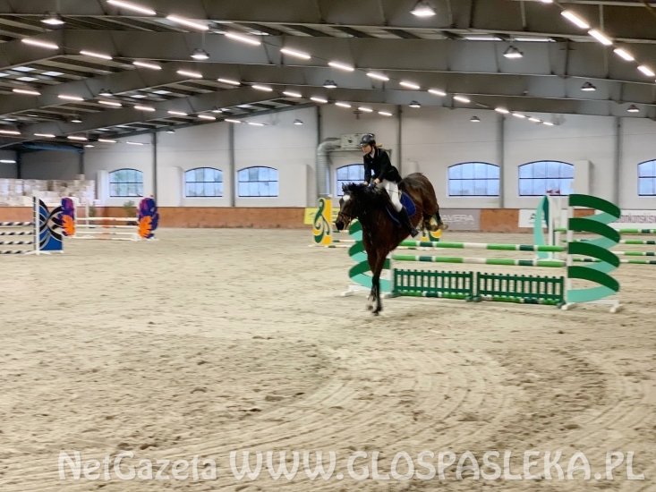 Kaja i Luisiana wygrywają z plejadą znanych jeźdźców