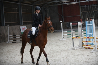 Pracowity dzień amazonek z Nenii