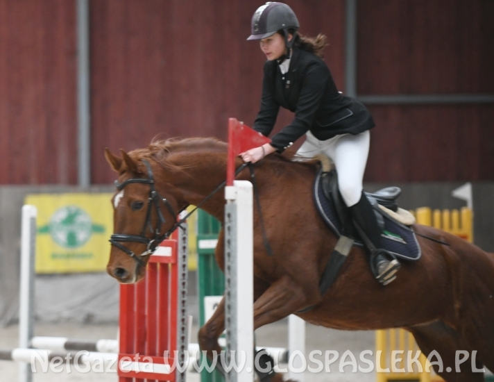 Pracowity dzień amazonek z Nenii